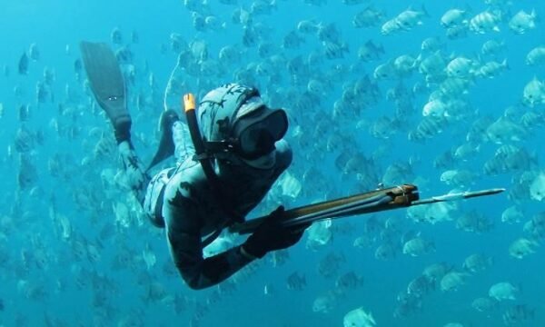 Spearfishing in Cancun (Mexico)