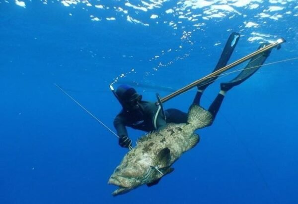 Spearfishing on the island of Cozumel (Mexico)