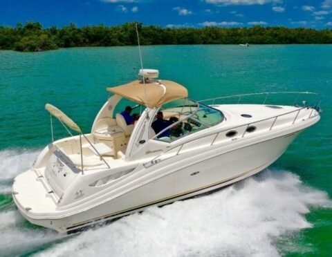 Sea ray deals sundancer 350