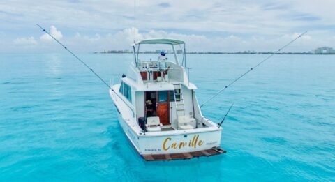 ᐉ Bottom Fishing Cancun and Isla Mujeres (2024 rates)
